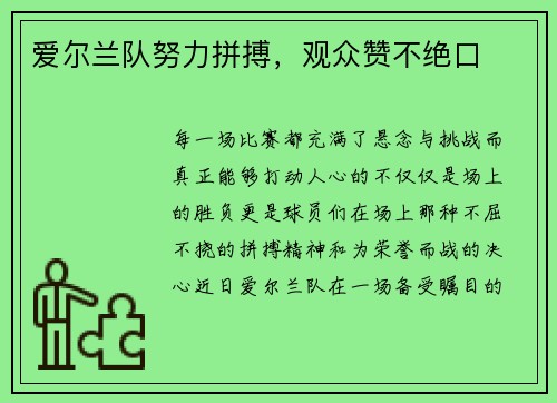 爱尔兰队努力拼搏，观众赞不绝口