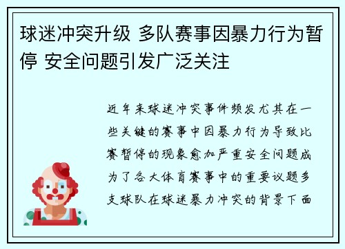 球迷冲突升级 多队赛事因暴力行为暂停 安全问题引发广泛关注