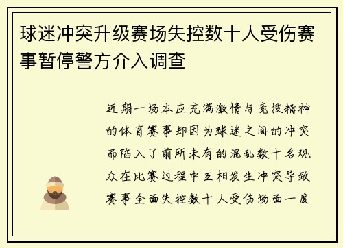 球迷冲突升级赛场失控数十人受伤赛事暂停警方介入调查